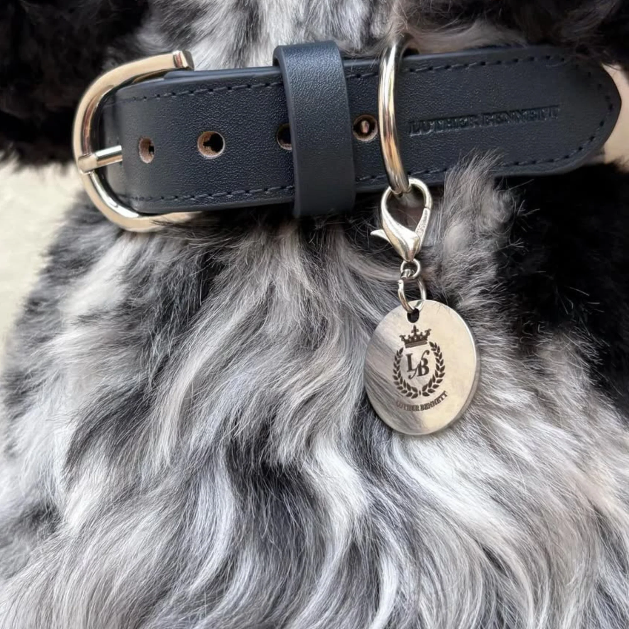Bentley Collar & Leash Set - Image 4