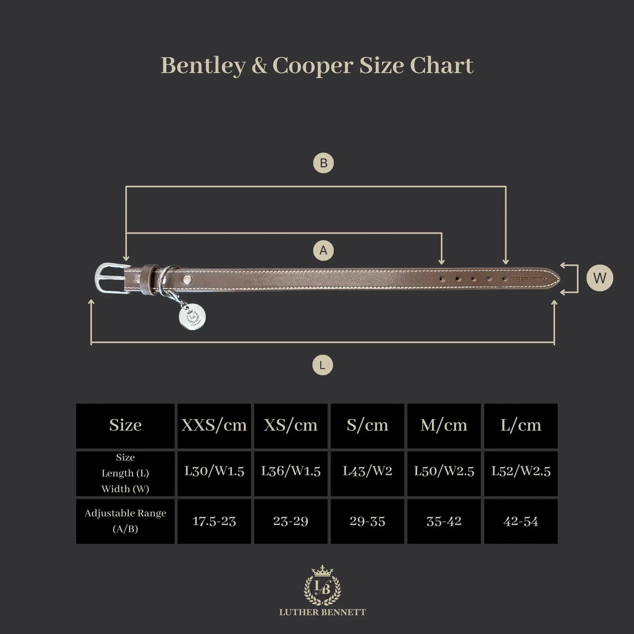 Cooper Collar & Leash Set - Image 10