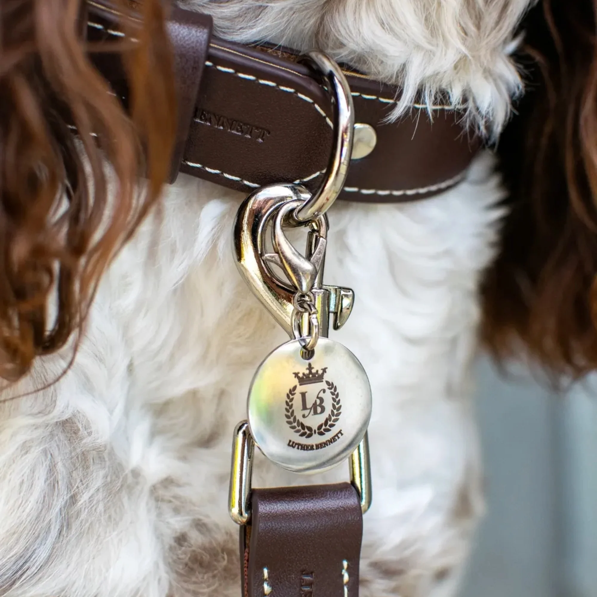 Cooper Collar & Leash Set - Image 6
