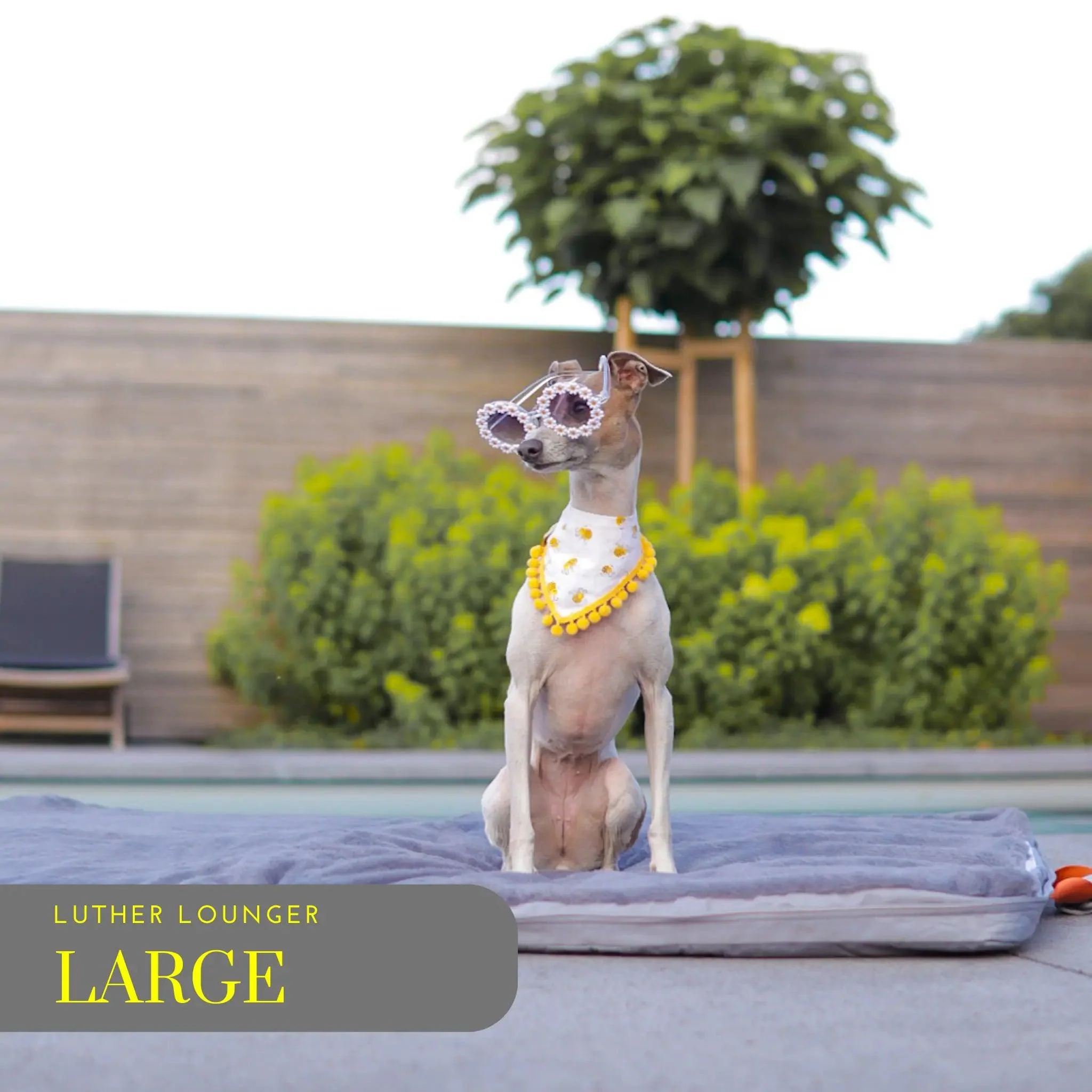 Luther Lounger - Image 11