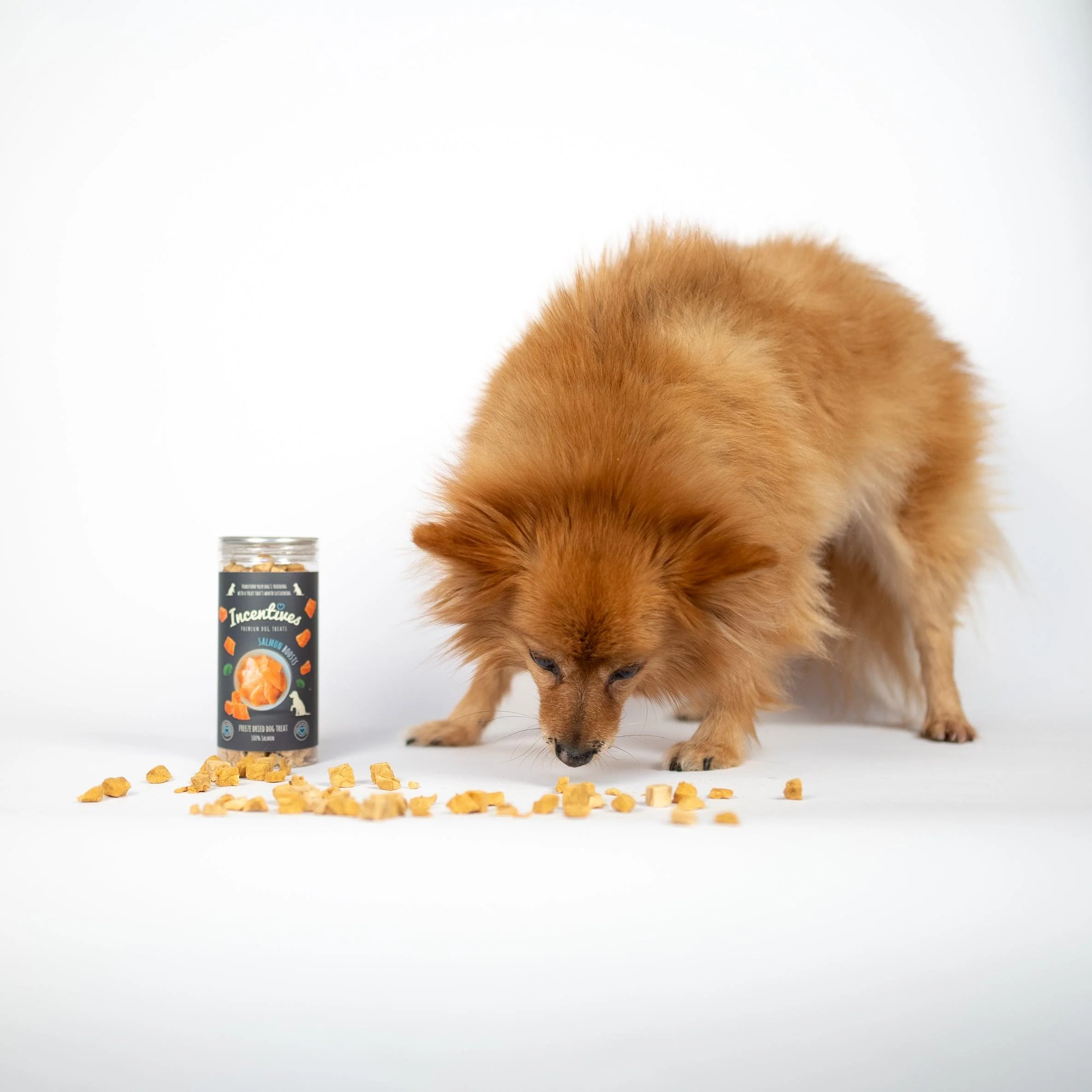 Salmon Boosts - Premium Dog Treats - Image 3
