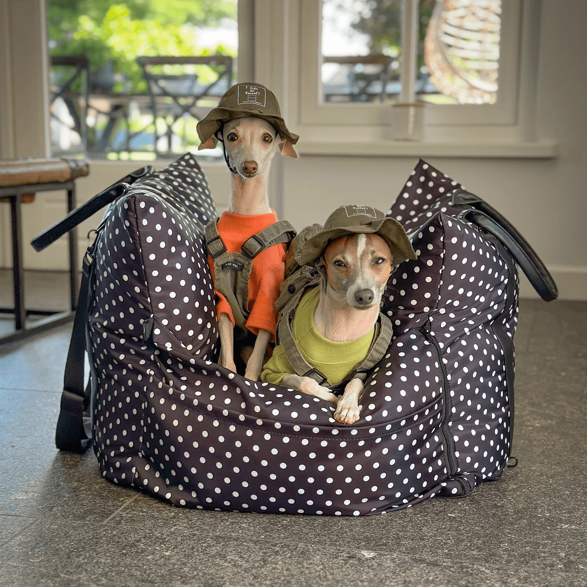 Travel Dog Pod - The Monroe Limited Isofix Edition - Image 3