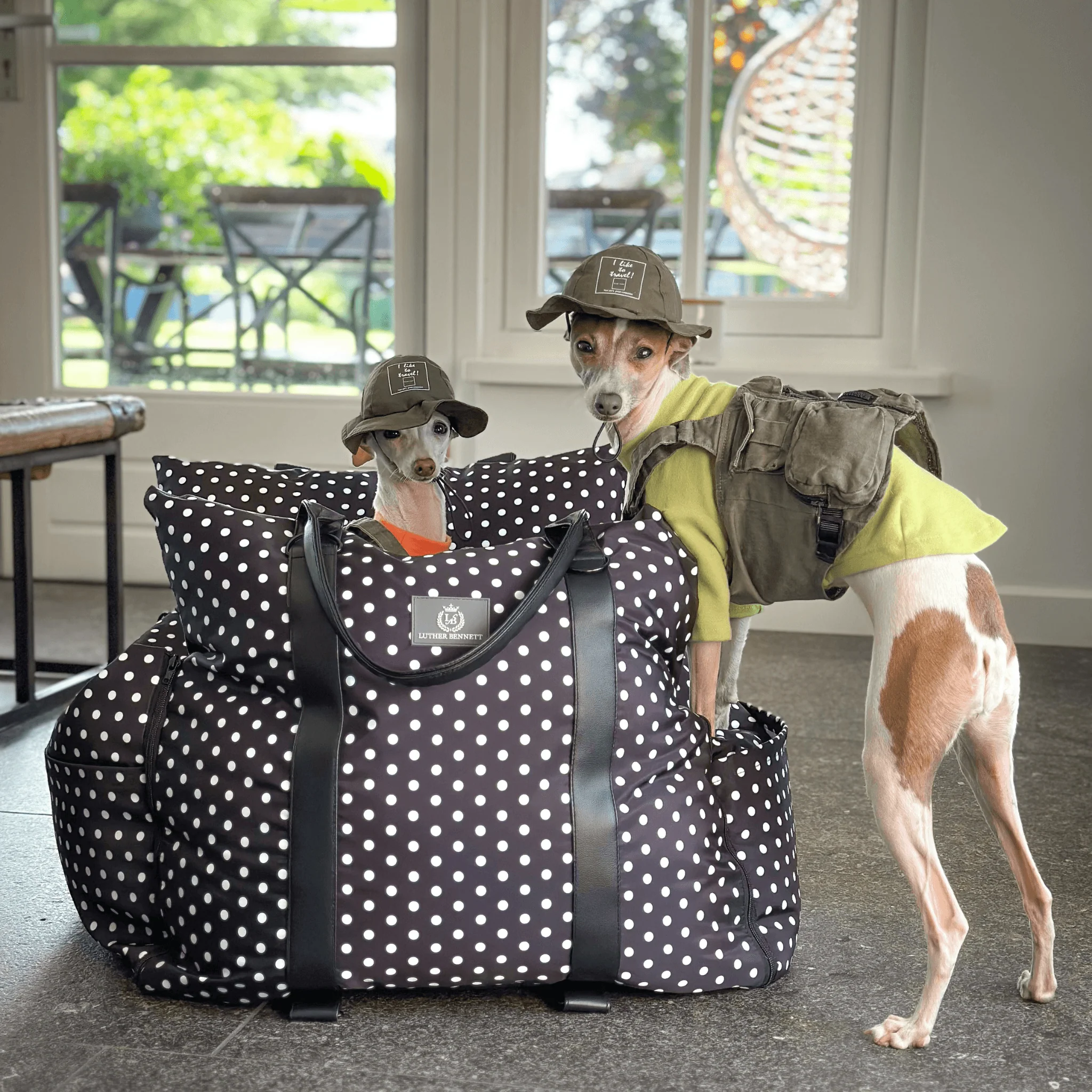 Travel Dog Pod - The Monroe Limited Isofix Edition - Image 4
