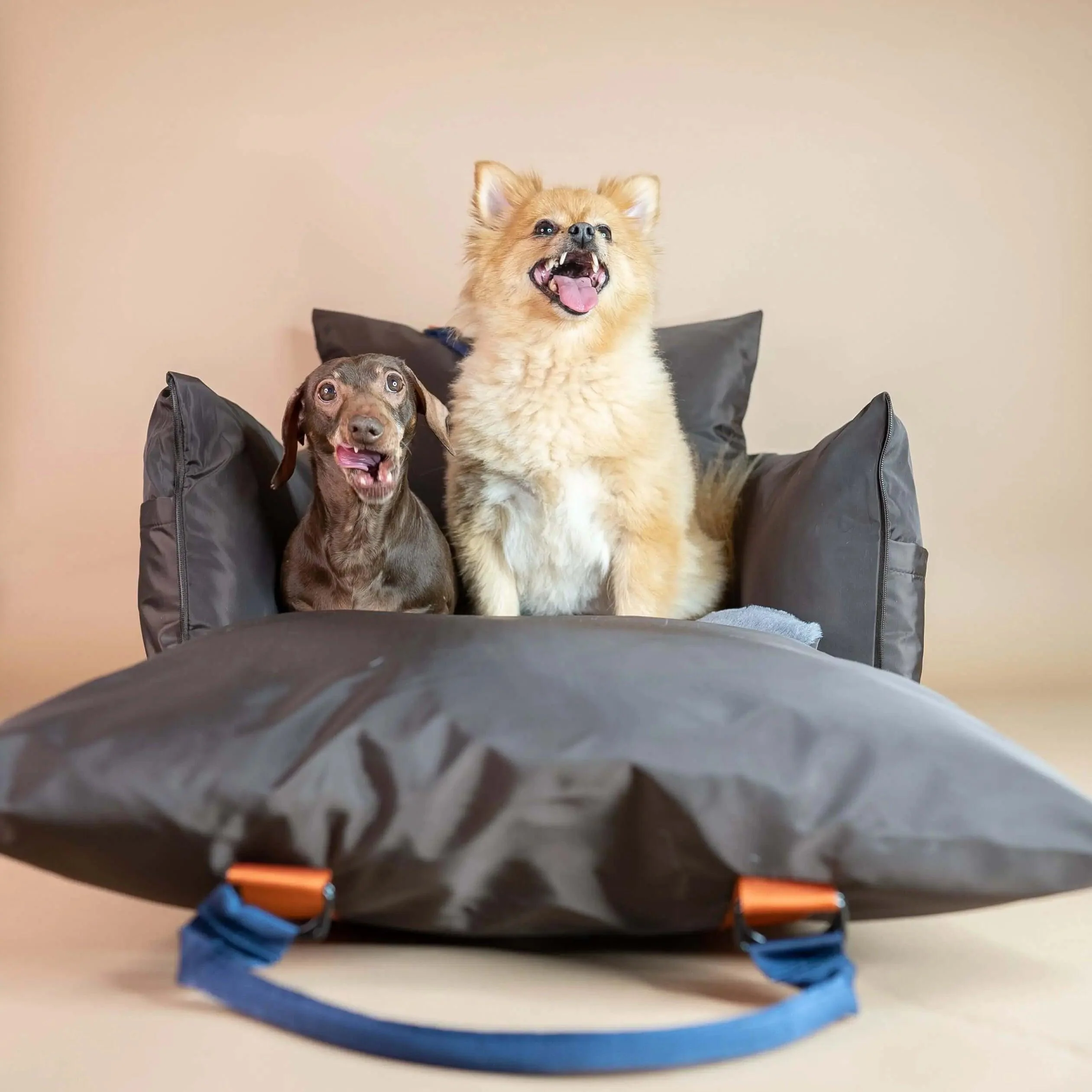 Travel Dog Pod 2.0 - Now With IsoFix - Image 11