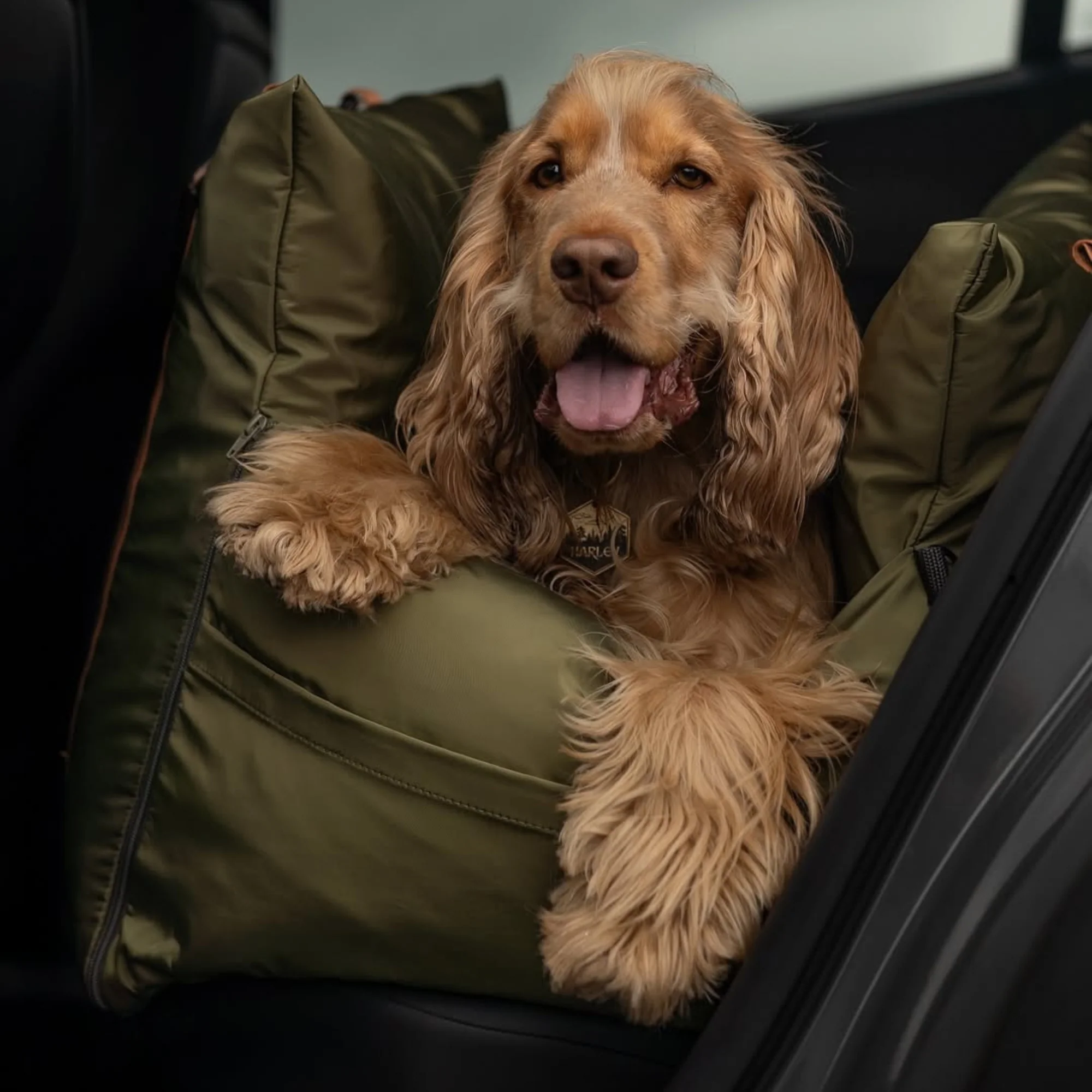 Travel Dog Pod 2.0 - Now With IsoFix - Image 12