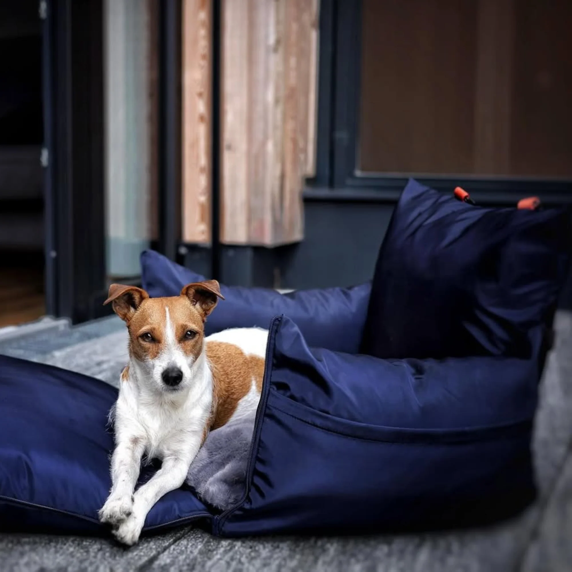Travel Dog Pod 2.0 - Now With IsoFix - Image 14