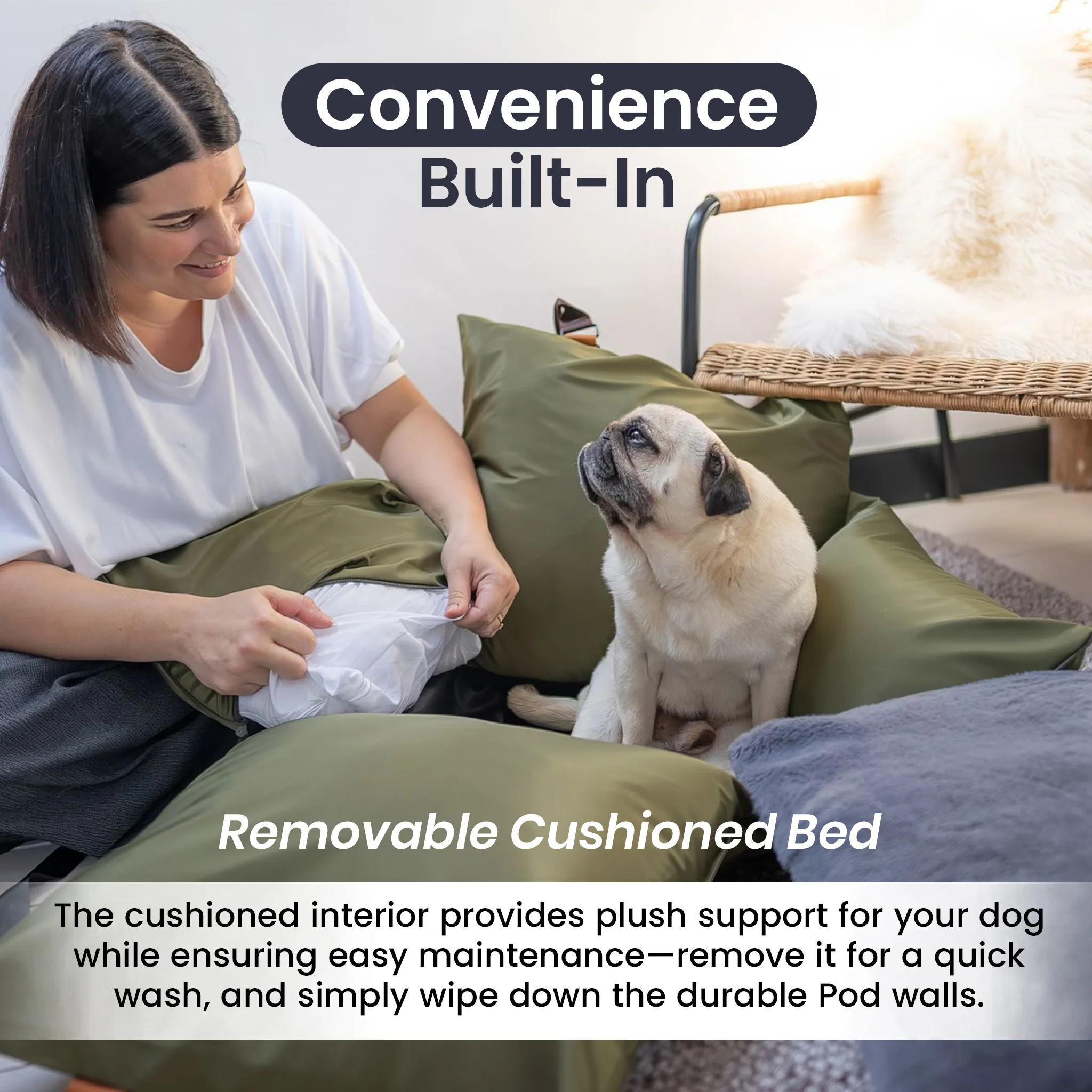 Travel Dog Pod 2.0 - Now With IsoFix - Image 4