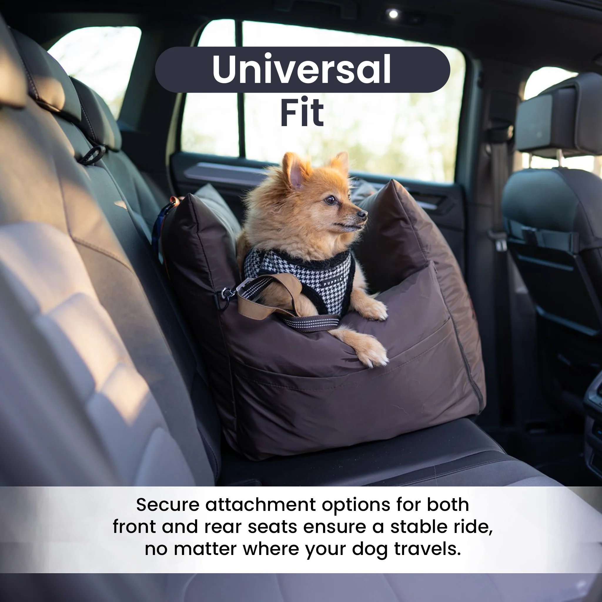 Travel Dog Pod 2.0 - Now With IsoFix - Image 5