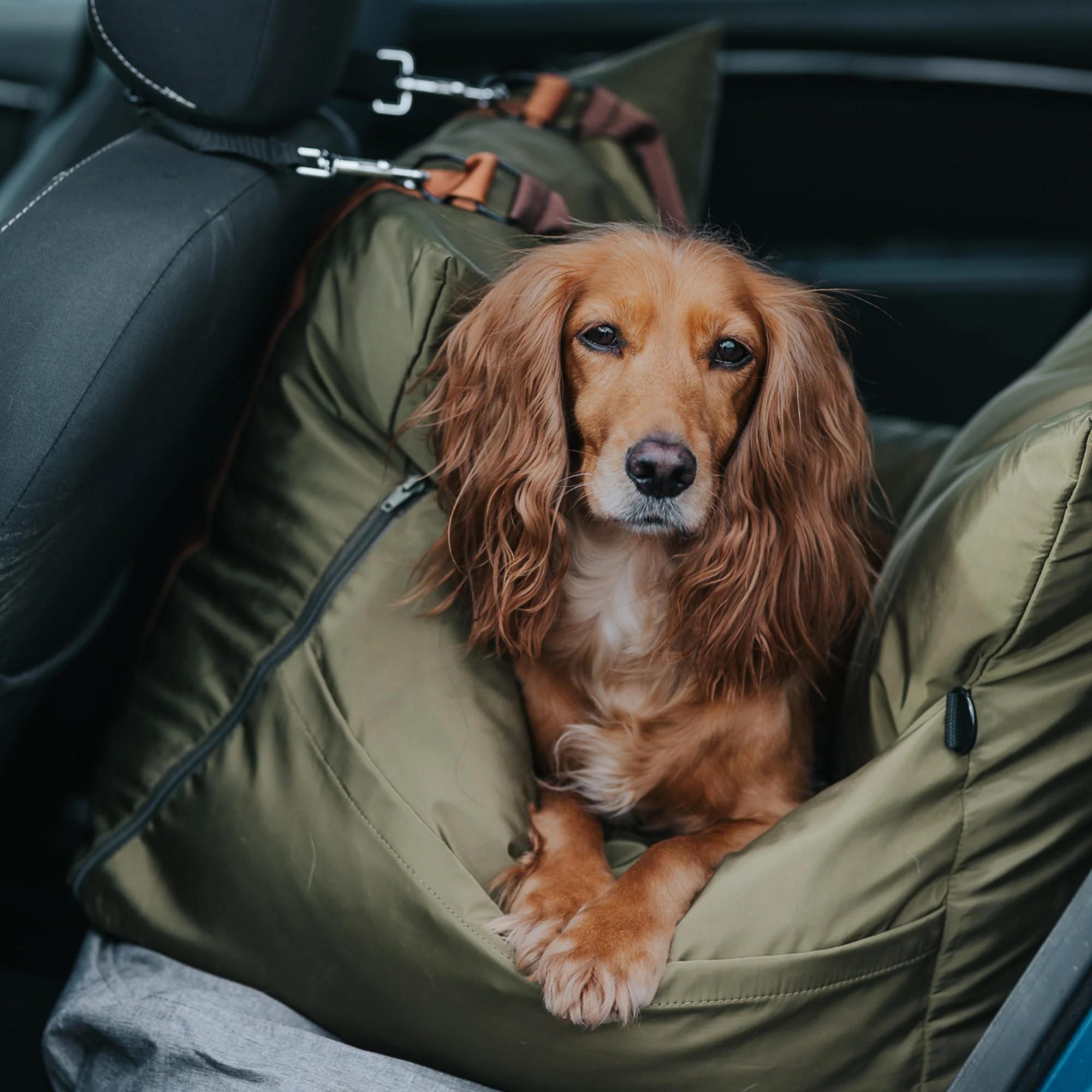 Travel Dog Pod 2.0 - Now With IsoFix - Image 6