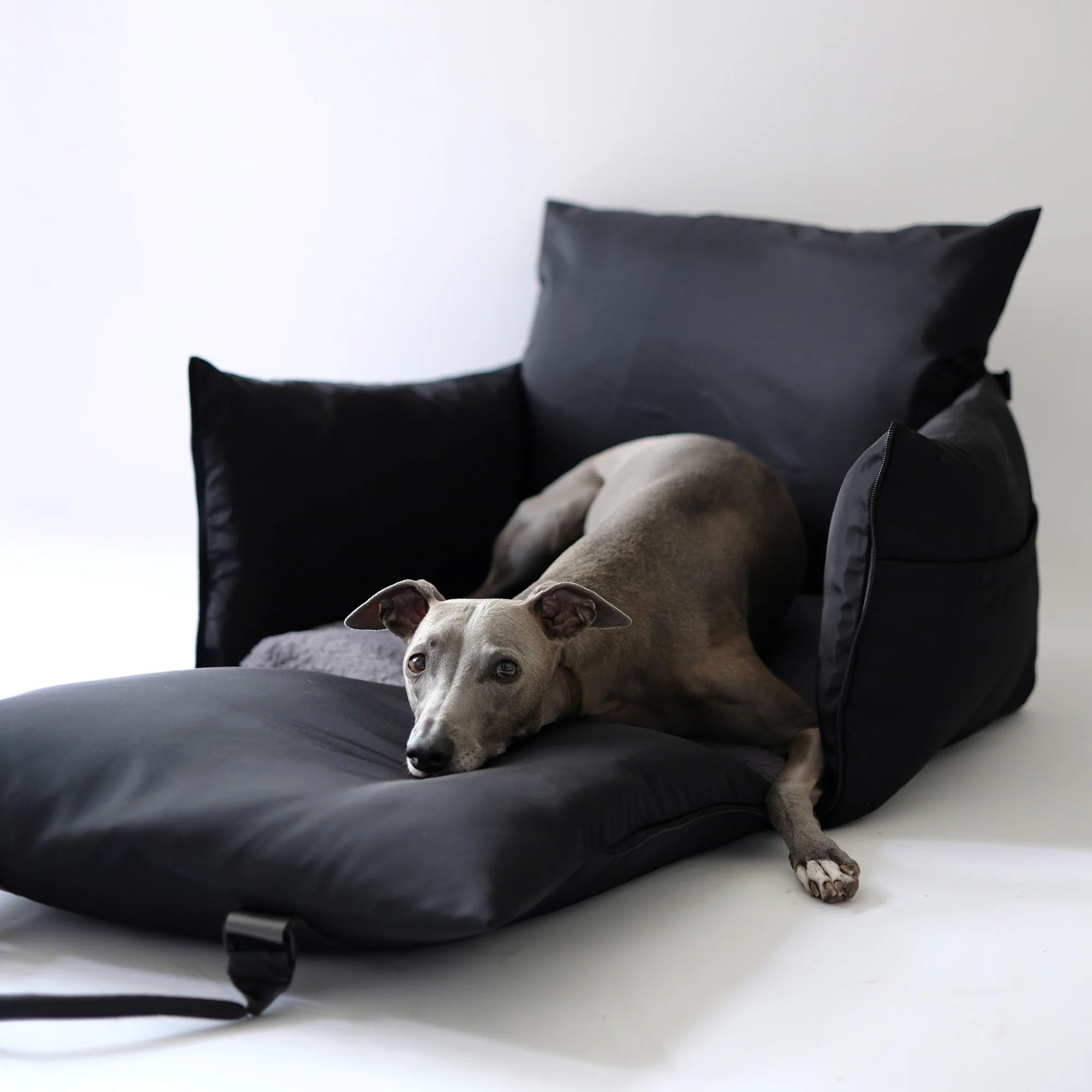 Travel Dog Pod 2.0 - Now With IsoFix - Image 7
