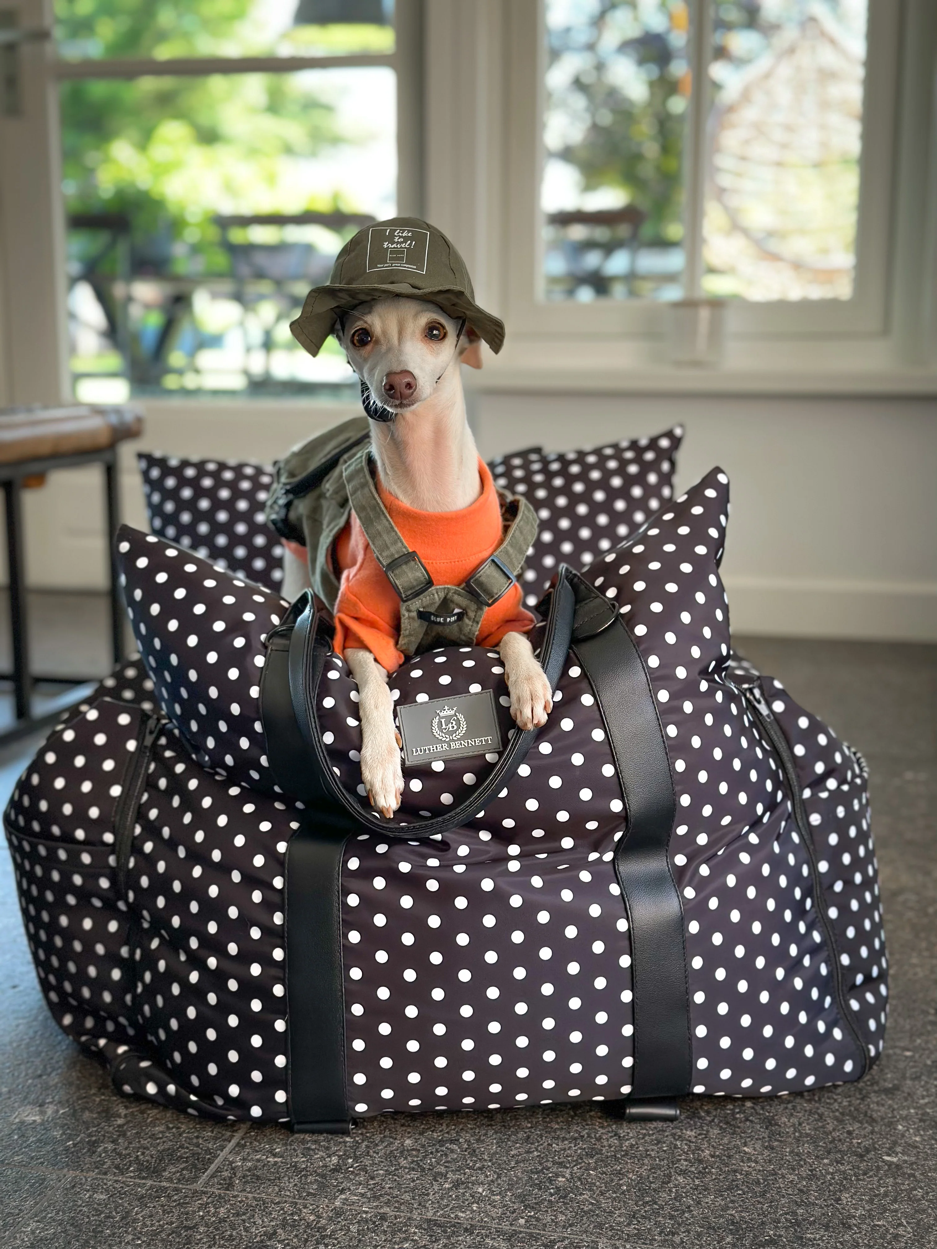 Travel Dog Pod - Reloved - Image 7