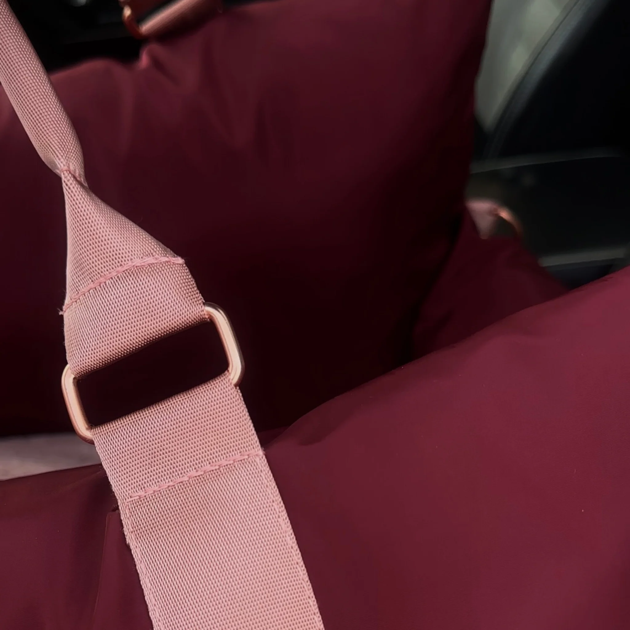 Travel Dog Pod - Rosewood - Image 7