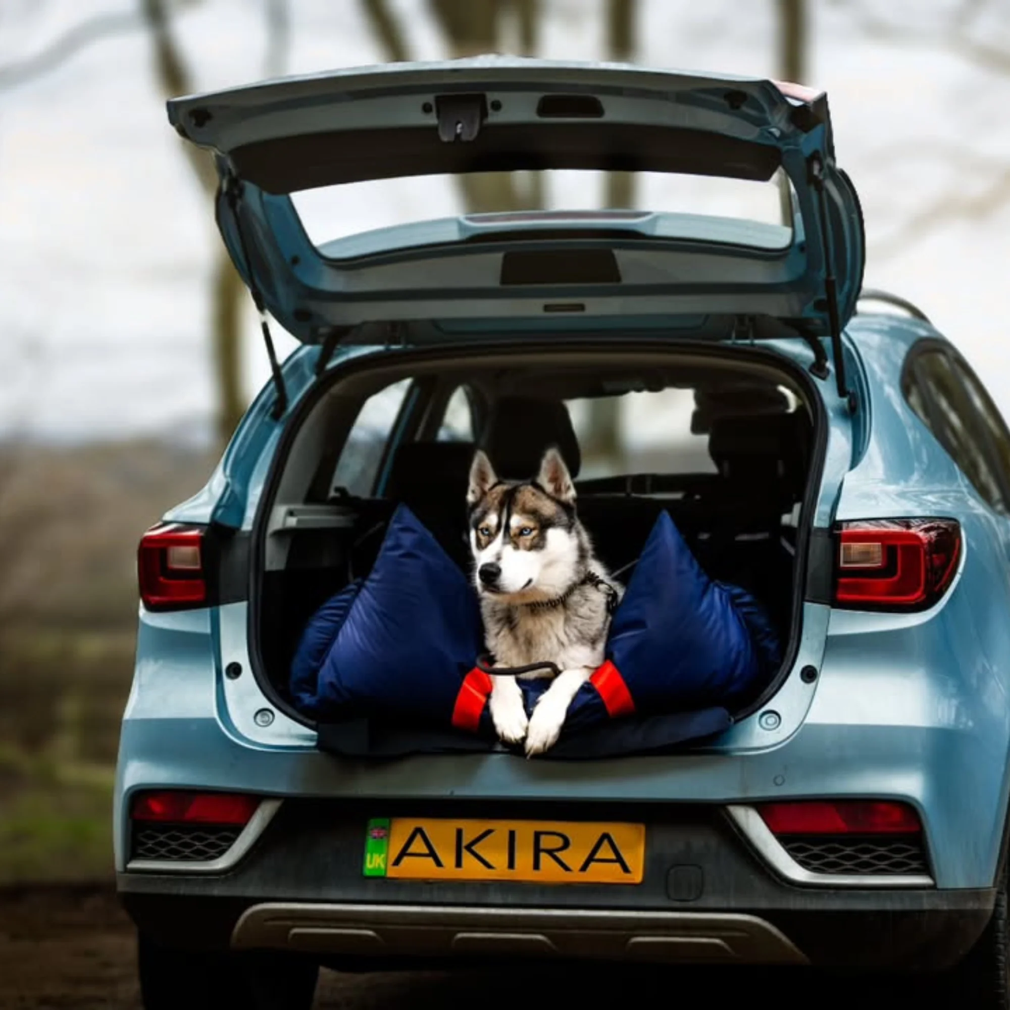Travel Dog Pod XL - Now With Isofix - Image 5