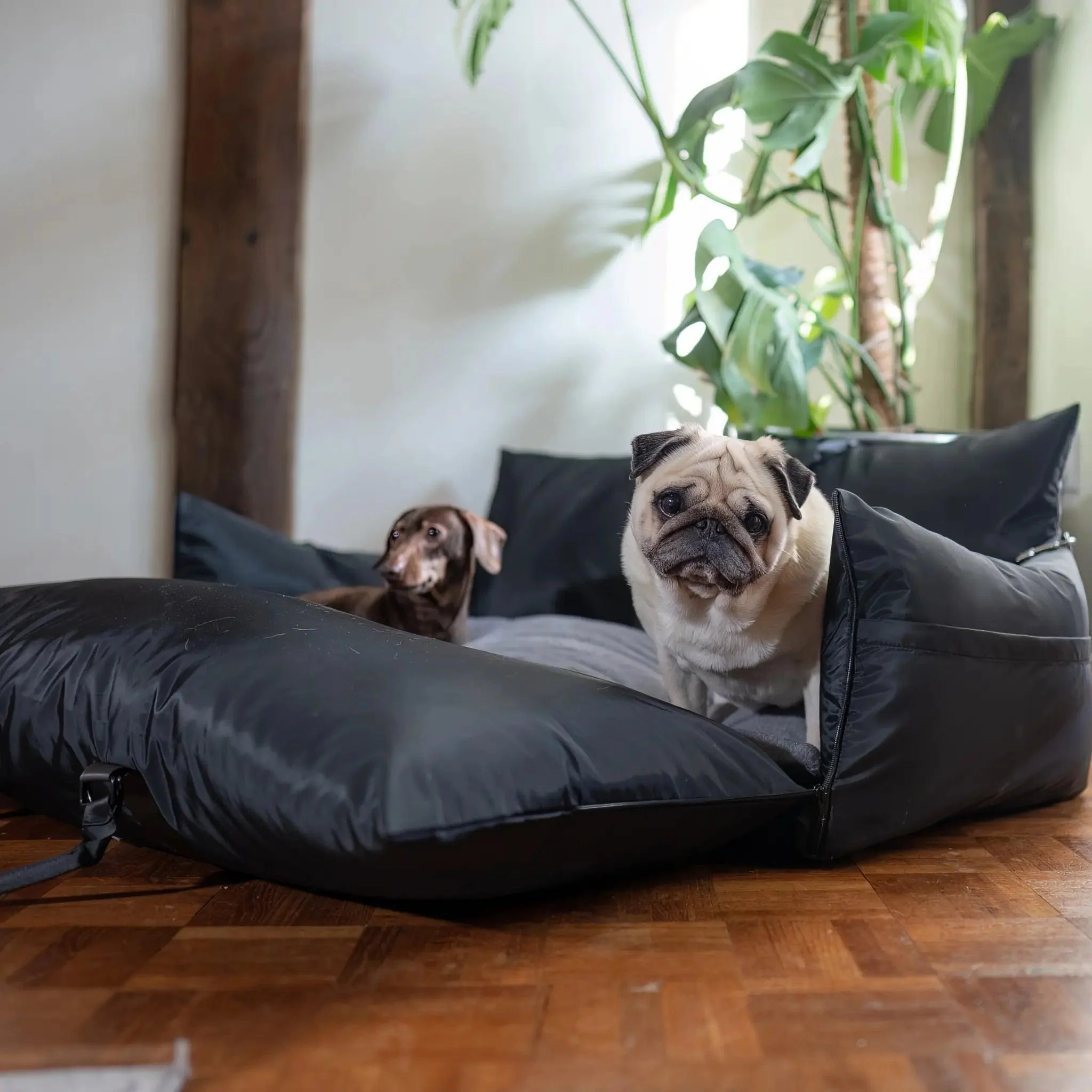 Travel Dog Pod XL - Now With Isofix - Image 6