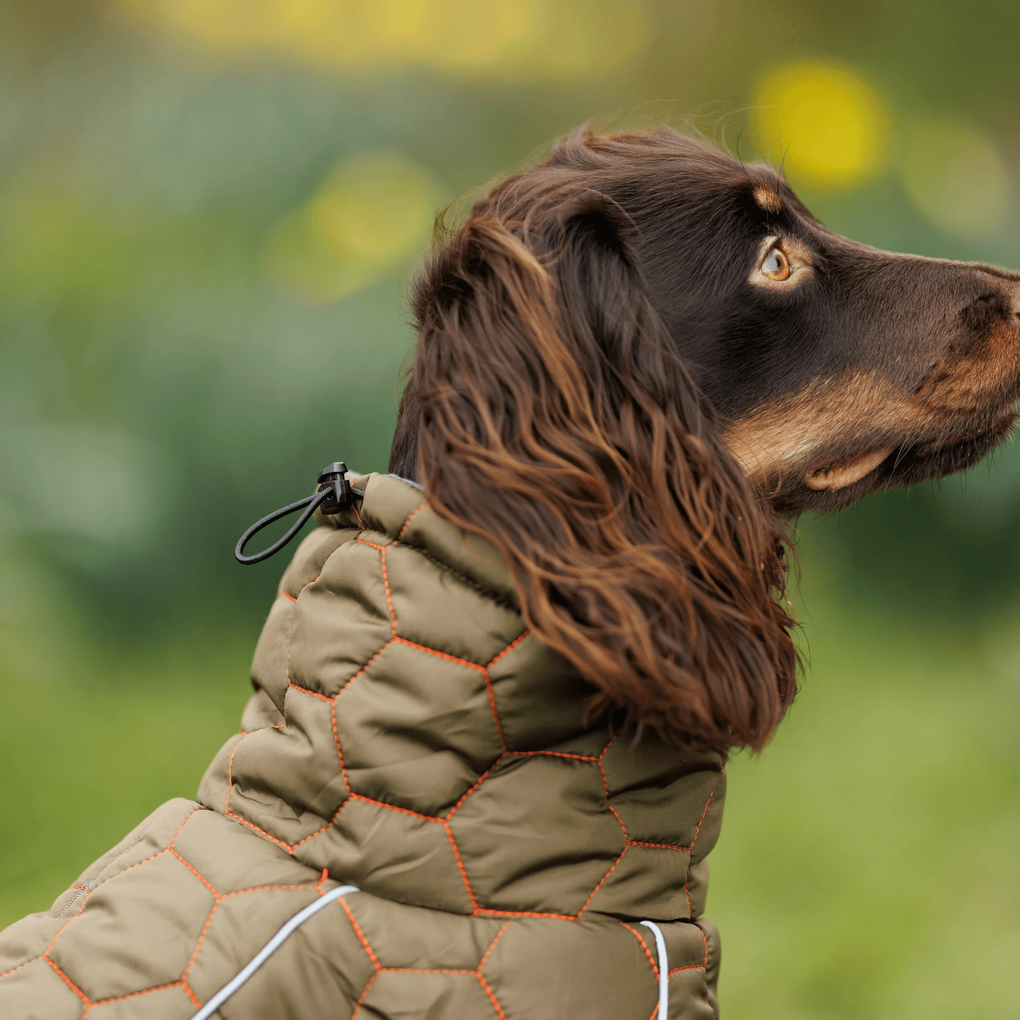 Honey Comb Dog Coat - Image 3