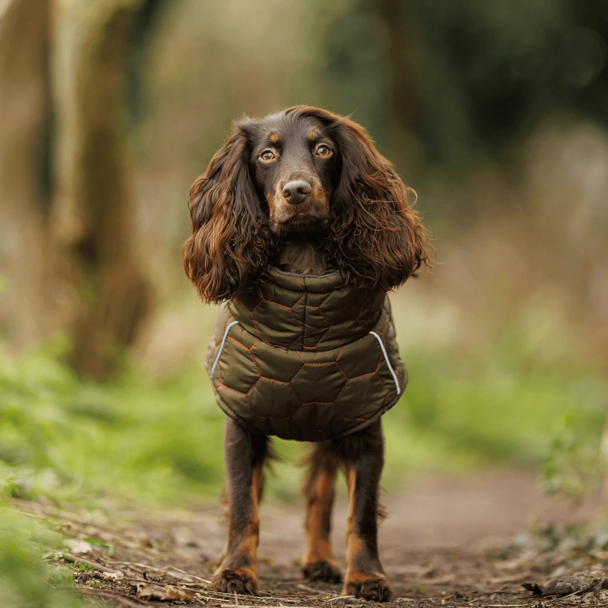Honey Comb Dog Coat - Image 9